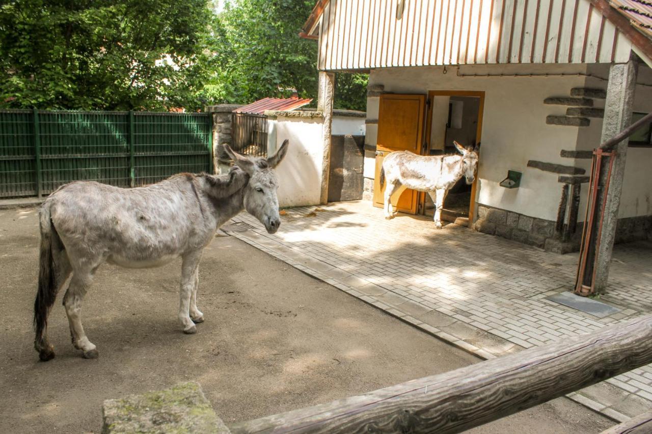 Bischofswerda Ferienwohnung Familienfreundlich Seniorengerecht Buitenkant foto